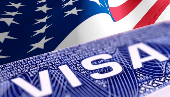 Visa Processing